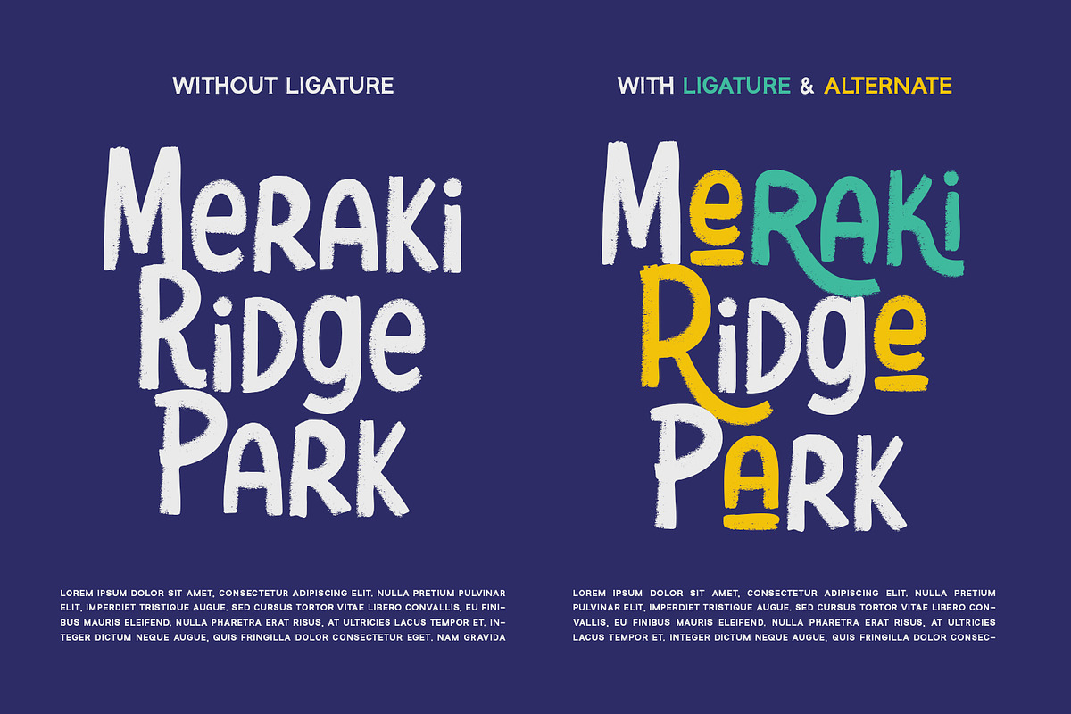 Evergreen - Display Font, a Script Font by Alpaprana (Photo 2 of 10)