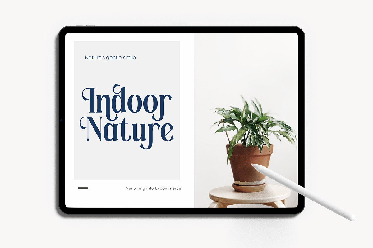 Romani - Bold Tall Serif Font, a Serif Font by timelesstype.co (Photo 6 of 20)