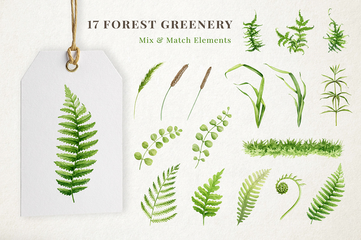Forest Mushrooms Watercolor Clipart, a Decorative Illustration by AnitaPol (Photo 10 of 21)