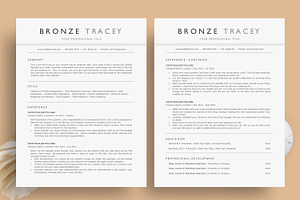 Clean ATS Resume/CV - The Bronze