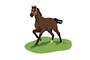 Horses, equine animals running set, an Animal Illustration by Good Studio (Thumbnail 11 of 13)