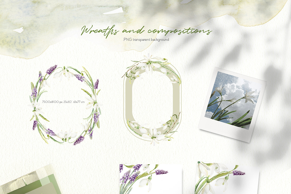 Spring Snowdrop and Muscari Clip Art, an Illustration by Julia M. Watercolor (Photo 4 of 12)