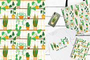 HOUSEPLANTS – PNG & Patterns Pack, an Object Illustration by Yashroom (Thumbnail 3 of 3)