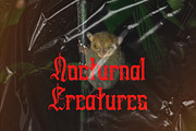 Swords Clover - Modern Blackletter, a Blackletter Font by Dhabee (Thumbnail 14 of 15)