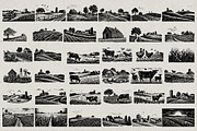 600 Farming illustrations, an Illustration by Nocturnal Wolf (Thumbnail 14 of 23)