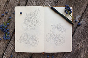 12 handsketched flower elements, a Decorative Illustration by Artha Design Studio (Thumbnail 6 of 6)