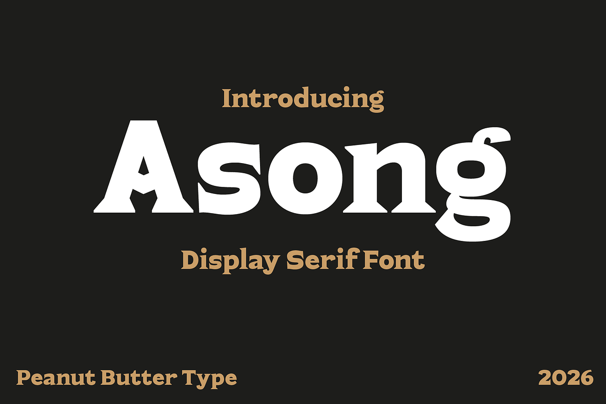 Asong Display Serif Font, a Serif Font by PeanutButter Type (Photo 1 of 5)
