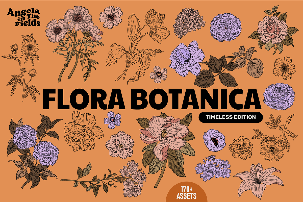 FLORA BOTANICA Vector Illustrations, an Object Graphic by angelainthefields (Photo 1 of 13)