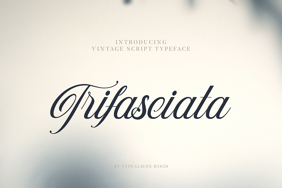 Trifasciata, a Script Font by ilhamtaro (Photo 1 of 11)