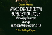 New Haven Retro Script Display Font, a Script Font by Letterhend Studio (Thumbnail 6 of 9)