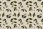 Pattern Mock Orange Blooms, a Pattern Graphic by MouseGrey (Thumbnail 6 of 6)