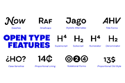 Codec Pro 22 fonts + 1 variable, a Sans Serif Font by Zetafonts (Thumbnail 14 of 16)
