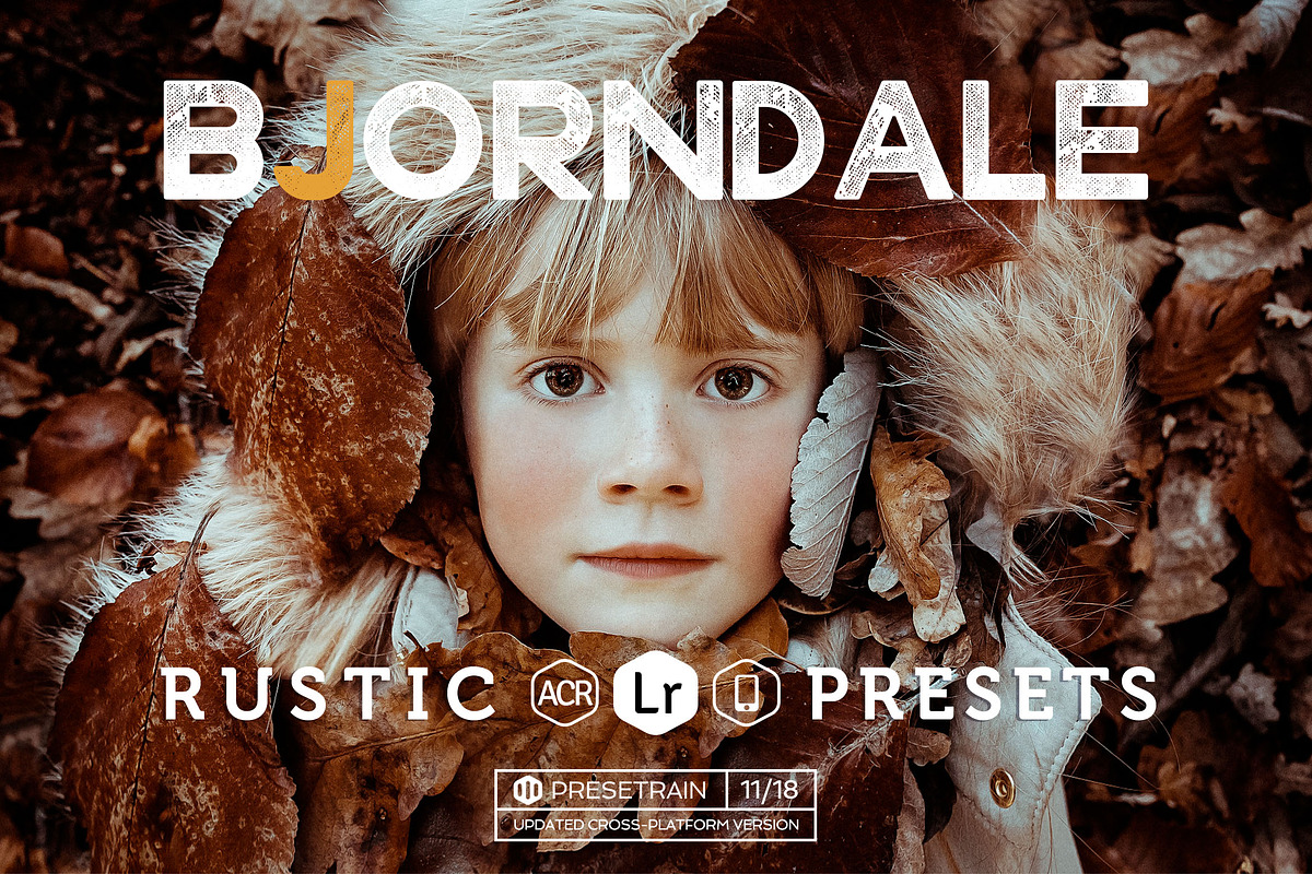 Bjorndale Presets - Desktop & Mobile, an Action Add-On by Presetrain Co. (Photo 1 of 9)