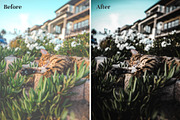 Dark & Moody Lightroom Presets, an Action Add-On by Maple Visuals (Thumbnail 8 of 9)