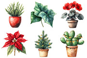 Christmas Houseplants Clipart Bundle, an Illustration by Daily.Designs (Thumbnail 2 of 5)