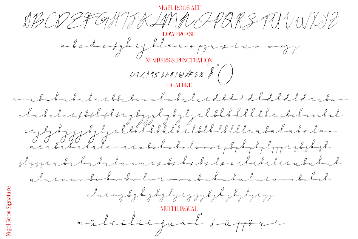 Nigel Roos Signature, a Script Font by madeDeduk (Photo 4 of 8)