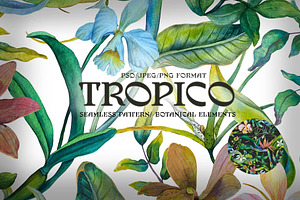 Tropico. Seamless Pattern