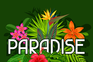 Backgrounds With Tropical Plants.