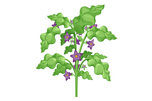 A cartoon of an eggplant plant, an Object Illustration by Things for designers
