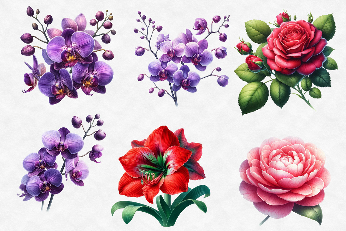 Watercolor Floral Clipart, an Illustration by Designworld (Photo 5 of 6)