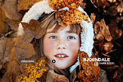 Bjorndale Presets - Desktop & Mobile, an Action Add-On by Presetrain Co. (Thumbnail 2 of 9)