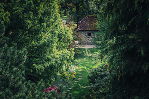 Old cottage in the forest featuring cottage, forest, and old