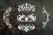 Lush Gardens Vintage Collection, a Decorative Illustration by TatianaCociorva (Thumbnail 7 of 7)