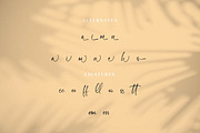 Micqallena, a Script Font by Integritype Studio (Thumbnail 11 of 15)