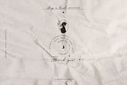 Solar Balance, a Decorative Illustration by The Everlasting Story (Thumbnail 19 of 19)