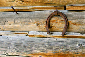 Lucky horseshoe containing aged, element, and equestrian