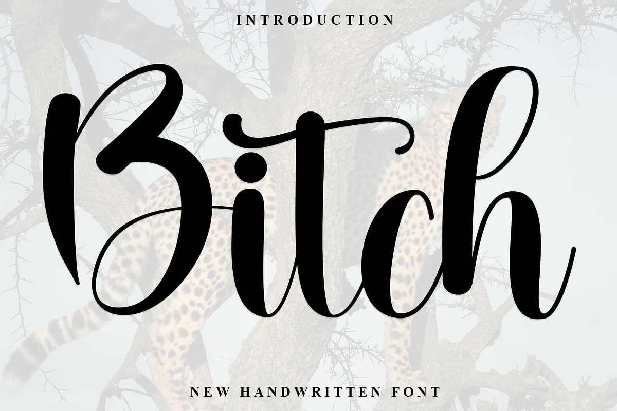 Bitch, a Font by InermediaSTUDIO (Photo 1 of 8)