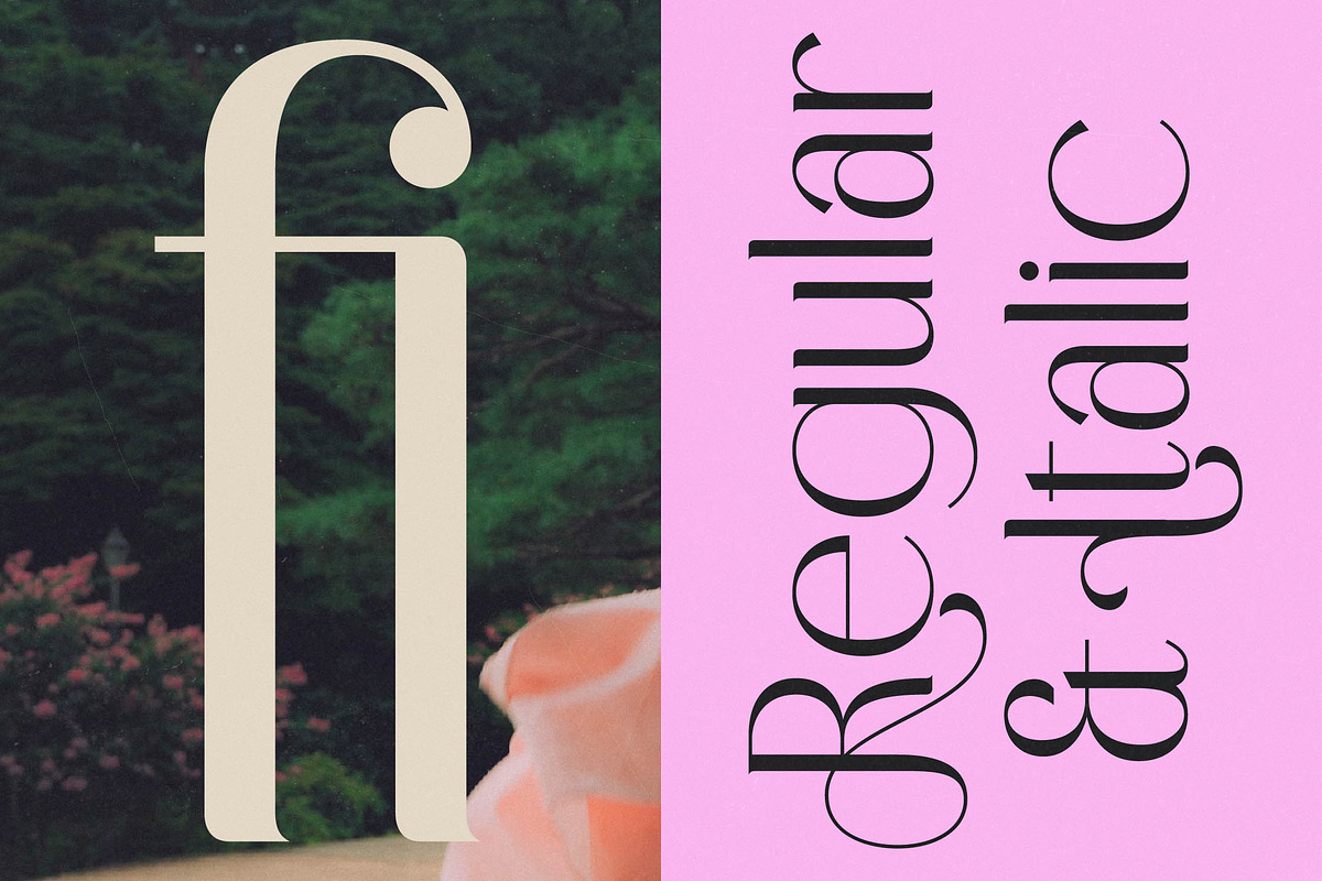 Medish - Modern Elegant Sans Serif, a Sans Serif Font by timelesstype.co (Photo 3 of 15)