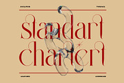 Qagiste Elegant Ligature Serif, a Serif Font by Alfinart (Thumbnail 6 of 10)