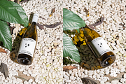 Any Bottle Mockup Set - Vol 1, a Product Mockup by DOBE Studio (Thumbnail 4 of 4)