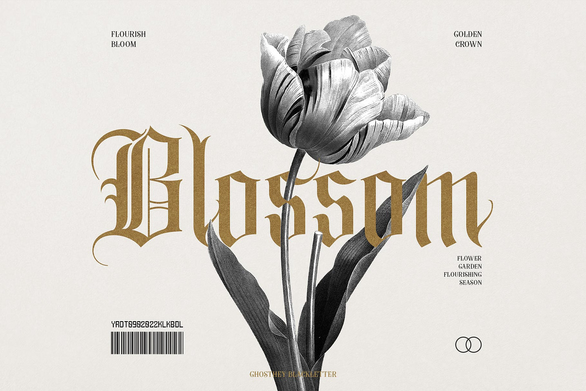 The Blackletter Bundle Alitdesign, a Blackletter Font by alit design (Photo 8 of 19)