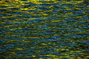 Golden reflects