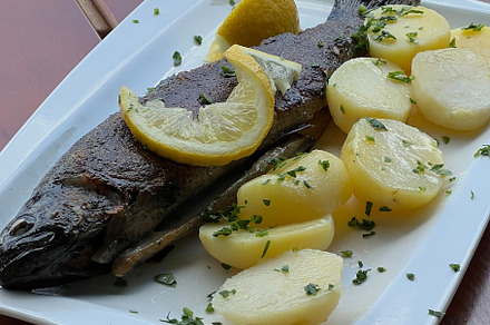 Delicious grilled fish with lemon and potatoes on white plate, a Photo by AS photostudio