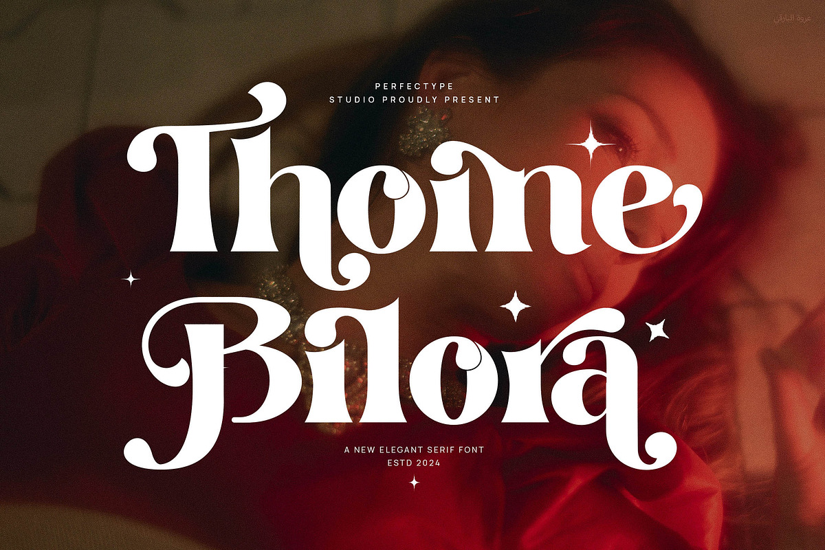 Thoine Bilora Modern Ligature Serif, a Serif Font by Perfectype (Photo 1 of 8)