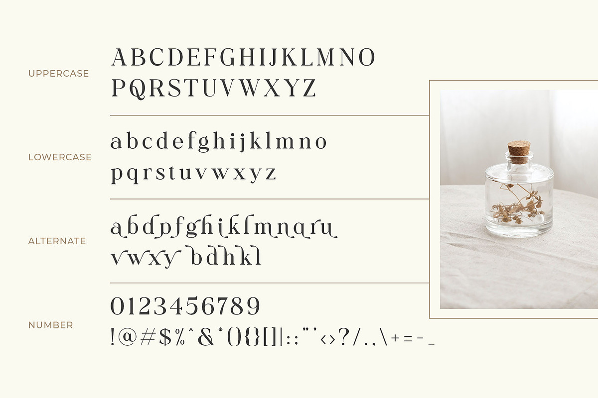 Collina // Ligature Serif Font, a Serif Font by BrandSemut (Photo 10 of 11)