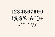 Brainstorm Retro Serif Display Font, a Serif Font by UICreative (Thumbnail 6 of 13)