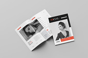 Social Media Kit Template, a Brochure Template by Spark_Creative (Thumbnail 2 of 12)