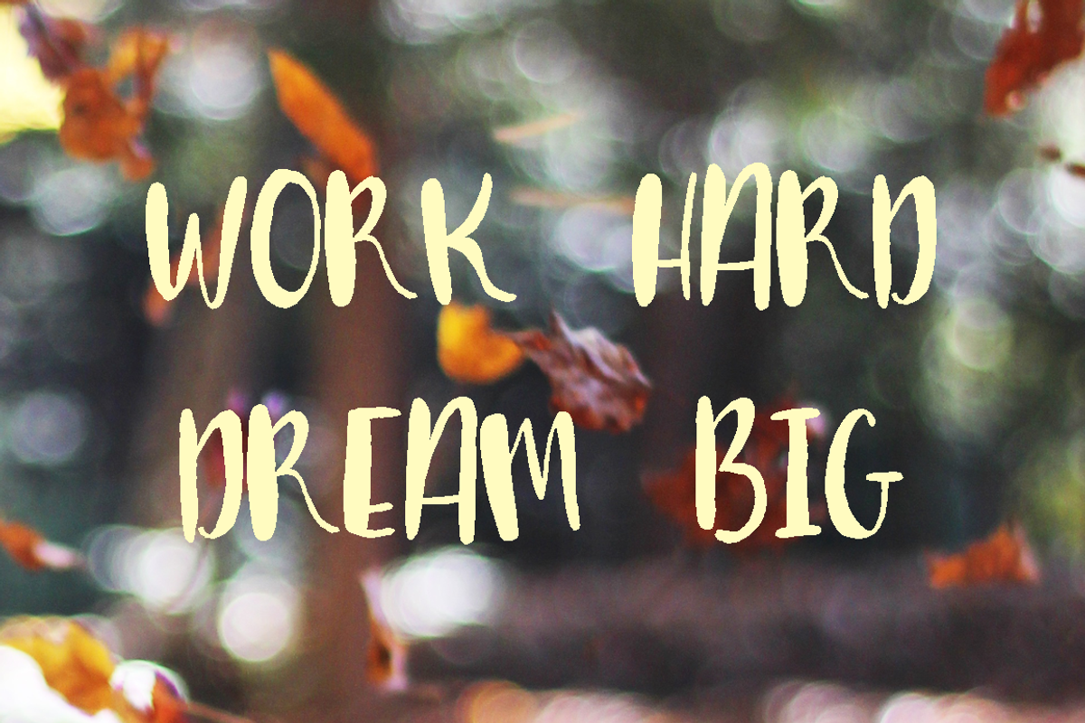 Tallulah Brush Font preview 3