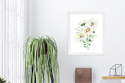 Watercolor Daisies, an Object Illustration by Olga Koelsch (Thumbnail 10 of 12)