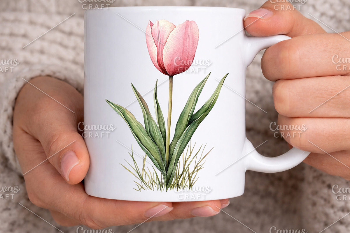 Watercolor Spring Tulips Clipart PNG, an Illustration by Canvas Craft (Photo 7 of 7)