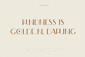 Modern Ligature Sans Serif Font