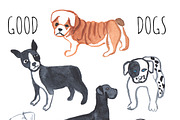 Good dog. Animal set, an Animal Illustration by Anyuka (Thumbnail 2 of 6)