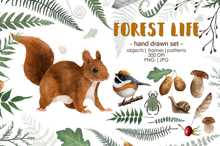 Forest life. Illustration Set
