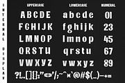 Internal Display, a Sans Serif Font by Typehill (Thumbnail 5 of 10)