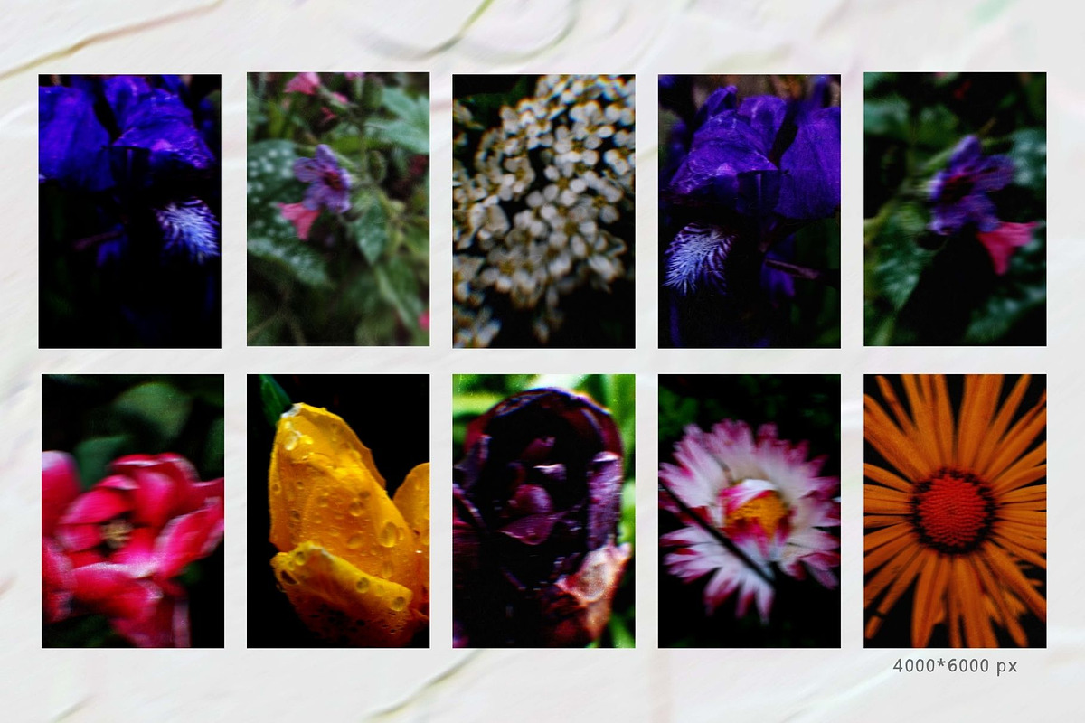 Dark bloom. Floral Backgrounds, a Background Graphic by PaperJamLab (Photo 11 of 14)