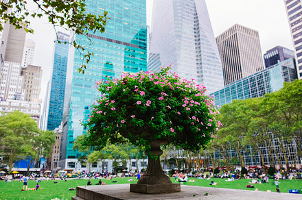 Bryant Park in Manhattan
